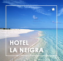 Hotel La Neigra - Sestri levante